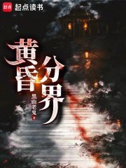 黄昏分界封面